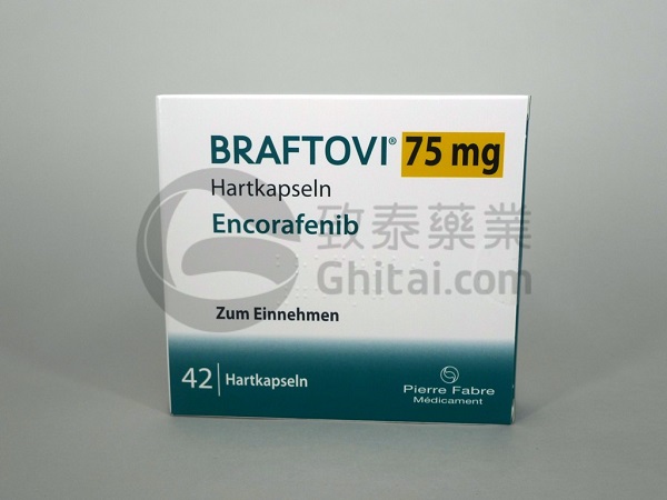 BRAFTOVI-ENG-4